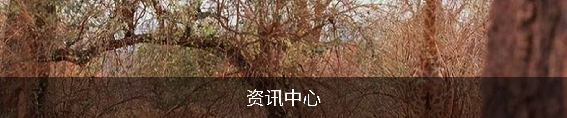 资讯中心